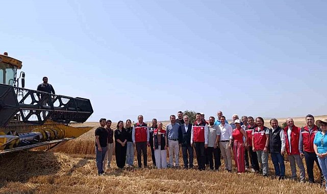 Tekirdağ'da bitkisel yağ üretiminde gıda güvenliği mercek altında
