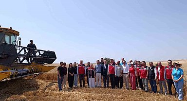 Tekirdağ'da bitkisel yağ üretiminde gıda güvenliği mercek altında