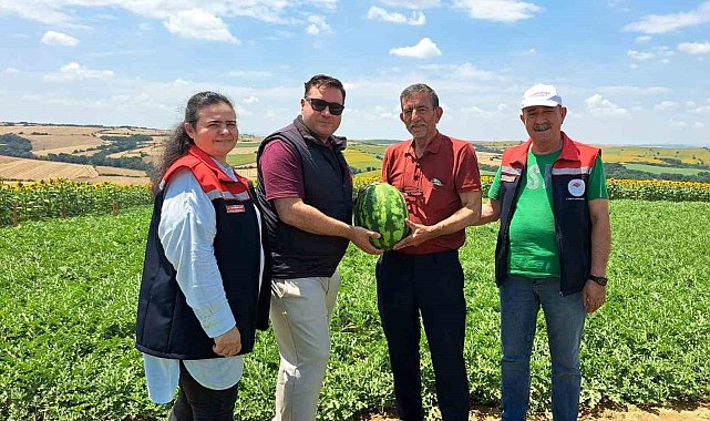 Tekirdağ'da ilk karpuz hasadı başladı