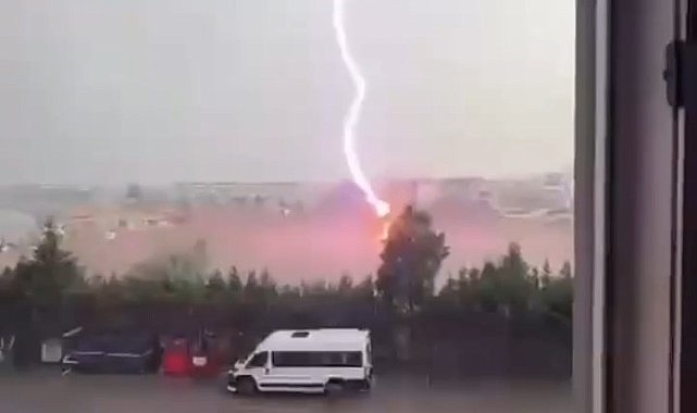 Tekirdağ'da palmiye ağacına yıldırım düştü, alev alev yandı
