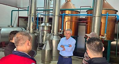 Tıbbi aromatik bitki üretimi için saha çalışmaları sürüyor