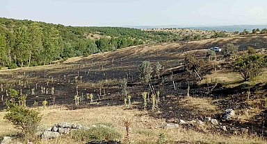 Tokat'ta örtü yangını: 15 dönüm ekili arazi küle döndü