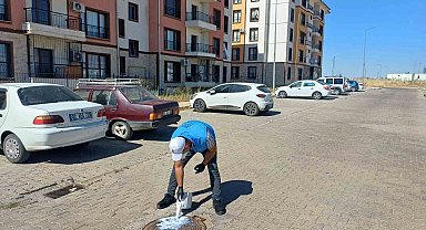 TOKİ'lerde koruyucu larva mücadelesi