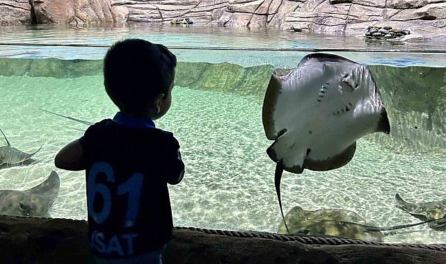 Tünel Akvaryum turistlerin gözdesi oldu