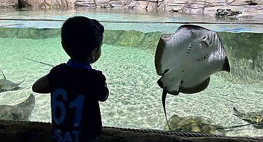 Tünel Akvaryum turistlerin gözdesi oldu