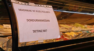 Türkülere konu olan madımakın dondurmasını yaptılar