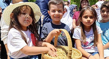 Ulukale dutunda bu yıl 650 ton rekolte beklentisi