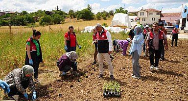 Üniversite serasında üretiliyor: Çiftçilerin geliri aromatik bitkilerle artacak