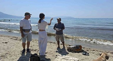 Üremek için geldikleri kıyılarda 3 caretta caretta ölü bulundu