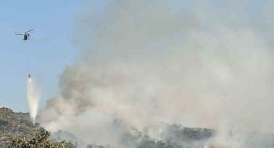Uşak'ta meşelik alanda çıkan yangına müdahale sürüyor