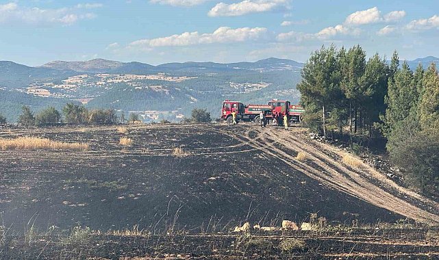 Uşak'ta ormanlık alana sıçrayan yangın söndürüldü