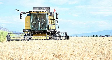 Vali Köşger Acıpayam'da bereket hasadına katıldı