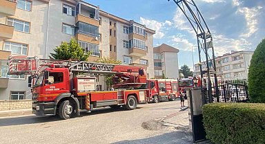 Yangında duygulandıran kurtarma: Anne kedi ve 2 yavrusu hayata döndürüldü