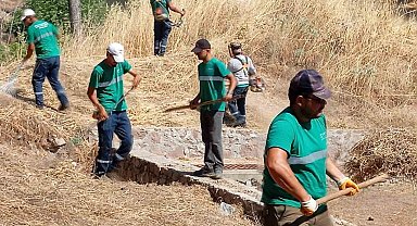 Yangınlara karşı Ayvalık'ta kuru ot temizliği aralıksız sürüyor