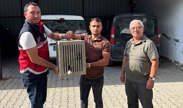 Yaralı halde bulunan leylek, koruma altına alındı
