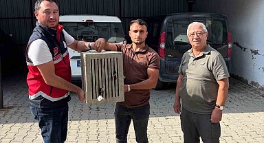 Yaralı halde bulunan leylek, koruma altına alındı
