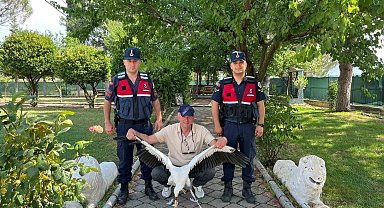 Yaralı leylek için seferber oldular