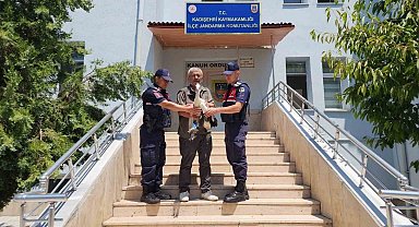 Yaralı leylek tedavi altına alındı