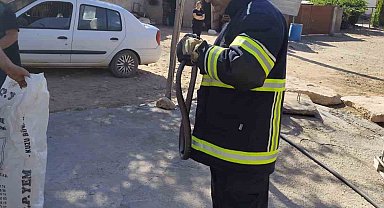 Yatak odasında çığlık attıran görüntü