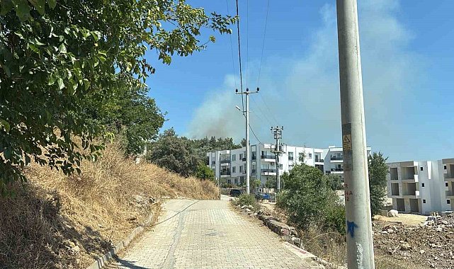 Yerleşim yerlerine yakın makilik alandaki yangın korkuttu