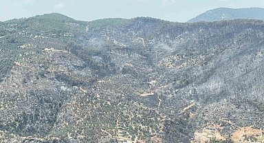 Yeşilden siyaha bürünen alan helikopterden görüntülendi