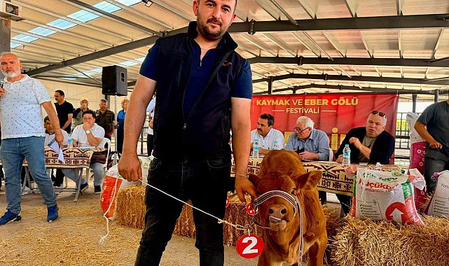 Yılın en güzel buzağısı 40 günlük buzağı oldu