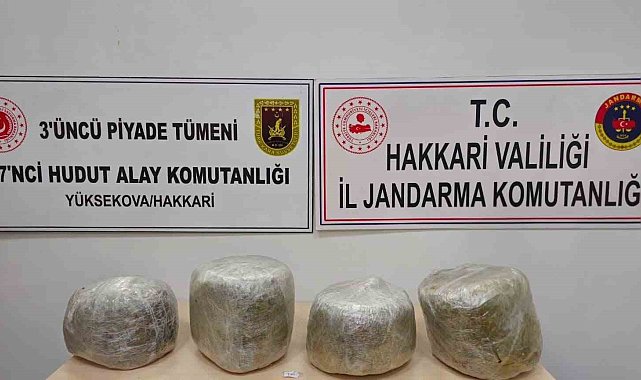 Yüksekova'da 11 kilo skunk ele geçirildi