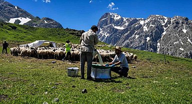 Zorlu yayla şartlarında tescilli lezzet üretiliyor